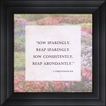 Framed Sow Sparingly - floral frame Print