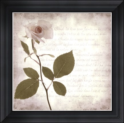 Framed Retro Rose Print