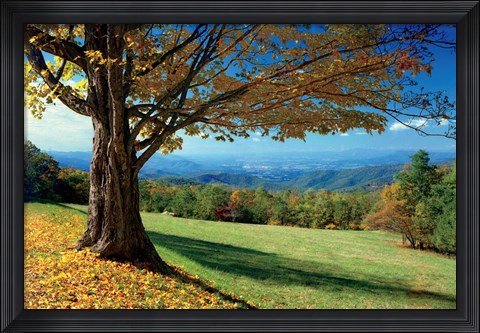 Framed Blue Ridge Beauty Print