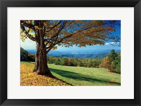 Framed Blue Ridge Beauty Print