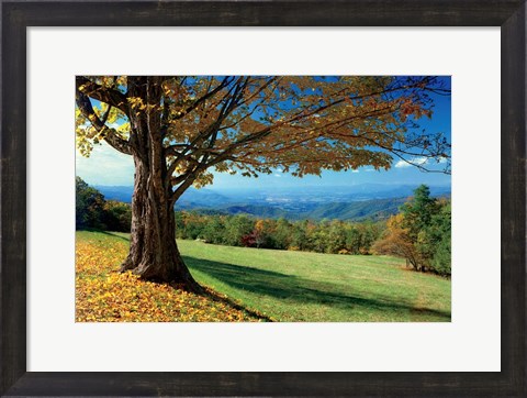 Framed Blue Ridge Beauty Print