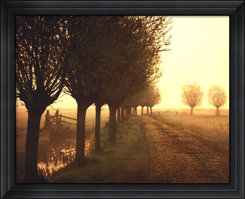 Framed Misty Morning Print