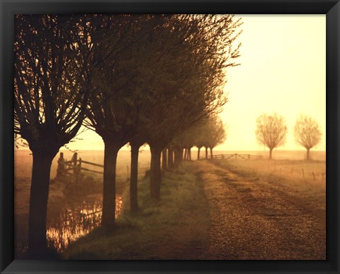 Framed Misty Morning Print