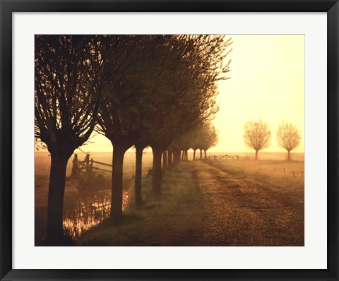 Framed Misty Morning Print