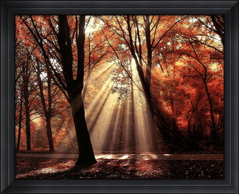 Framed Dressed to Shine Print