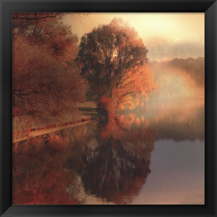 Framed Summer Reflections Print