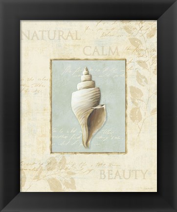 Framed Soothing Words Shells I Print