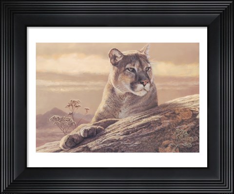 Framed Desert Sunrise Print