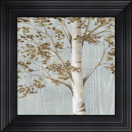 Framed Birch Study I Print