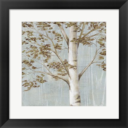 Framed Birch Study I Print