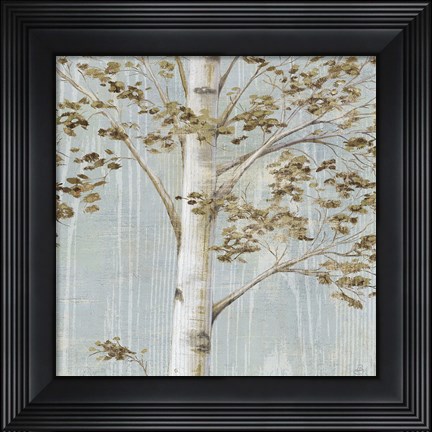 Framed Birch Study II Print