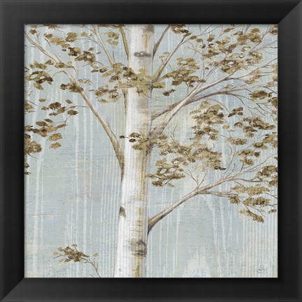 Framed Birch Study II Print