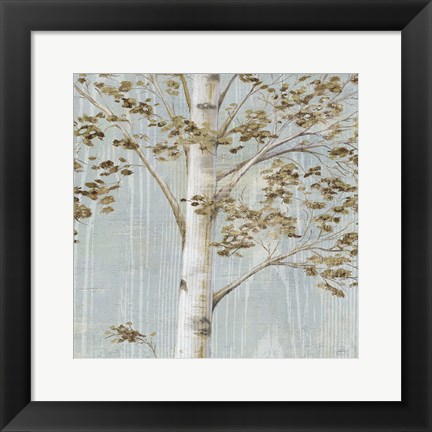 Framed Birch Study II Print