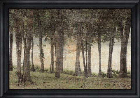 Framed Forest Print