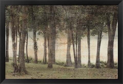 Framed Forest Print