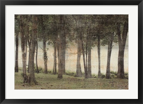 Framed Forest Print