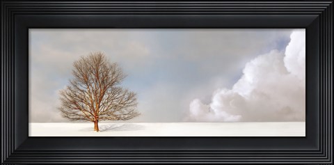 Framed Alone in the Whiteness Print