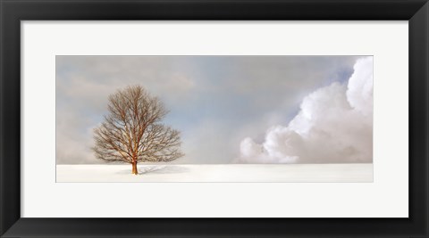 Framed Alone in the Whiteness Print