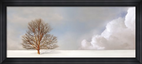 Framed Alone in the Whiteness Print