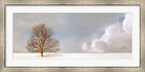 Framed Alone in the Whiteness Print