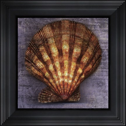 Framed Blush Rose Print