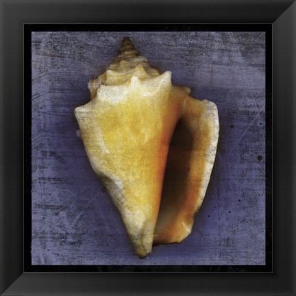 Framed Fighting Conch Print