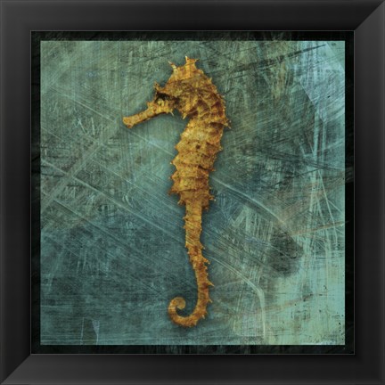 Framed Seahorse Print