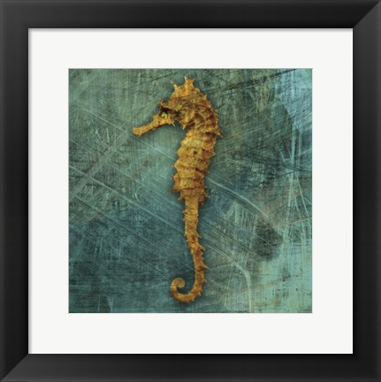 Framed Seahorse Print