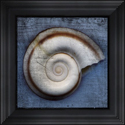 Framed Snail Print