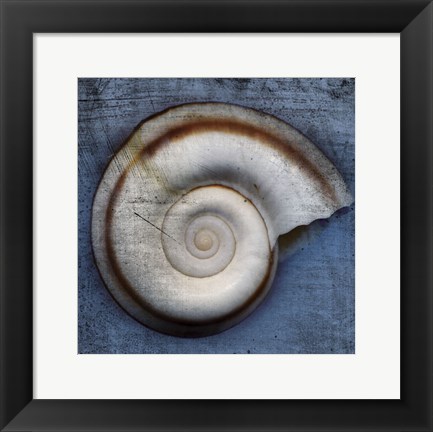 Framed Snail Print