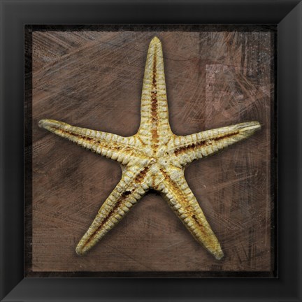 Framed Starfish Print