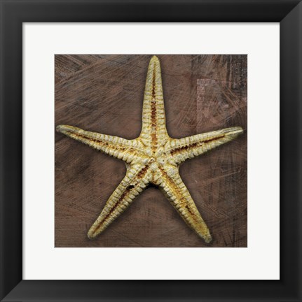 Framed Starfish Print