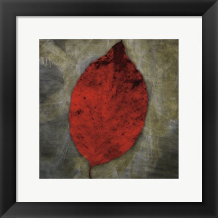 Framed Red Dogwood Print