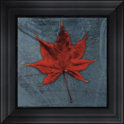 Framed Japanese Maple Print