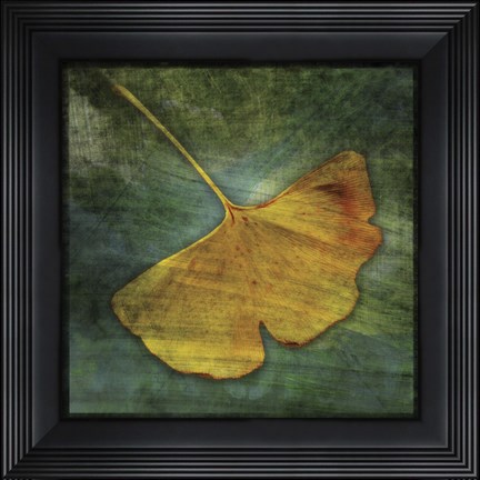 Framed Gingko 3 Print