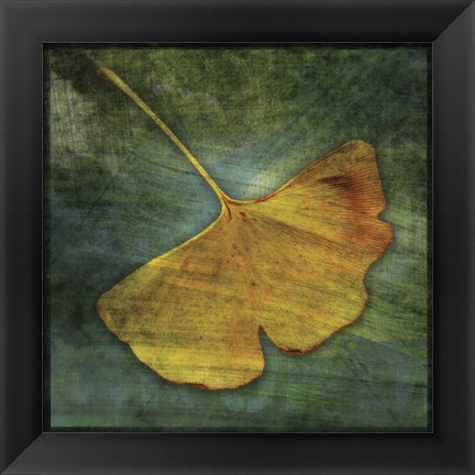 Framed Gingko 3 Print