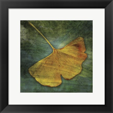 Framed Gingko 3 Print