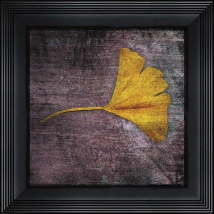 Framed Gingko 4 Print