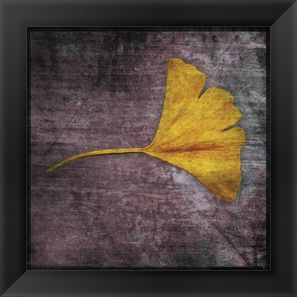 Framed Gingko 4 Print