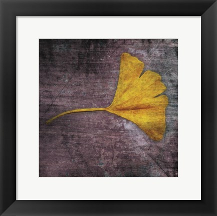 Framed Gingko 4 Print