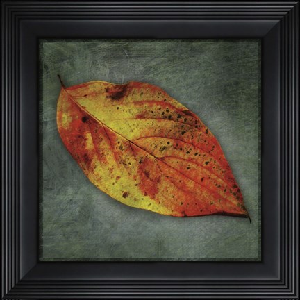 Framed Dogwood Yellow Print