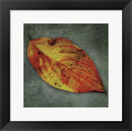 Framed Dogwood Yellow Print