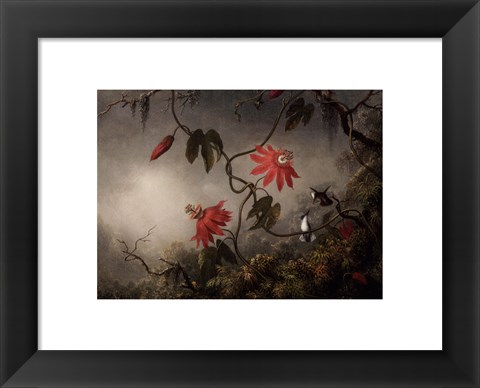 Framed Passion Flowers and Hummingbirds, about 1870-83 Print