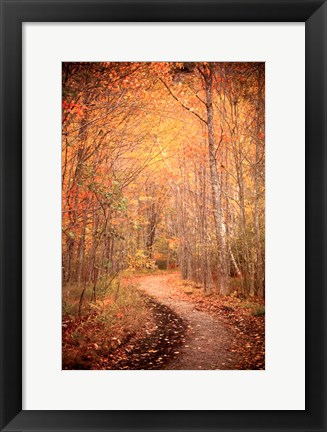 Framed Winding Autumn Path Print