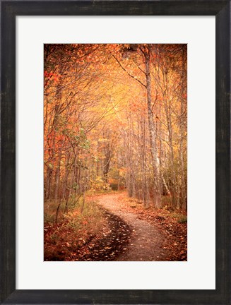 Framed Winding Autumn Path Print