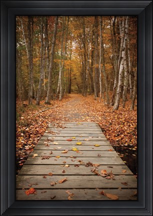 Framed Woodland Path Print