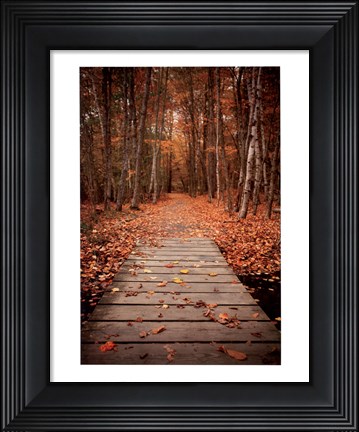 Framed Woodland Path Print