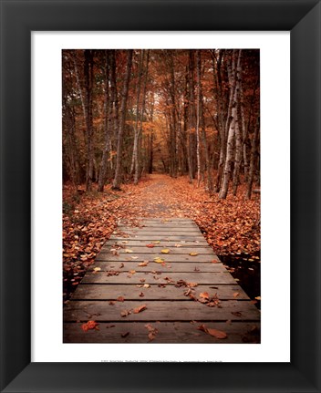 Framed Woodland Path Print