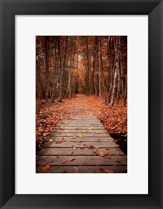 Framed Woodland Path Print