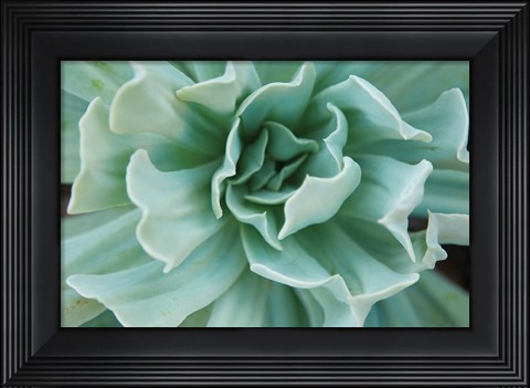 Framed Topsy Turvy Print